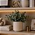 Vaso Decorativo em Cerâmica Bege com Relevo Elegante - Imagem 4