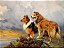 Dois Collies Acima de um Lago - Wright Barker - Imagem 1