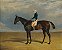 Margrave, um cavalo de corrida castanho-avermelhado - John Frederick Herring Sr - Imagem 1