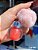 Lip gloss com chaveiro de pompom - Imagem 6