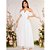 Vestido de Noiva Longo Ombro a Ombro em Tule Poá Branco - Imagem 3