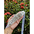 Cinto para Vestido de Noiva com Strass - Imagem 2