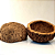OURIÇO DE CASTANHA DO BRASIL IN NATURA - Extrativismo Vegetal / Manufatura Regional de Comunidades Ribeirinhas - Tam M (11x7cm) - CÓD: 1012 - Imagem 1
