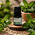 ÓLEO ESSENCIAL IN NATURA MENTA PIPERITA (Hortelã Pimenta) 100% PURO ALTA CONCENTRAÇÃO - Ação Refrescante / Revigorante / Aromática - 10ml - CÓD: 2181 - Imagem 3