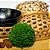 CESTA ARTESANAL PALHA VEGETAL DE ARUMÃ IN NATURA - Suporte de Cuia de Tacacá - Tam Médio (De 13 a 15cm de Diâmetro) - UND - CÓD: 3719 - Imagem 4