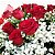 Buquê Tradicional - 12 Rosas Vermelhas - Imagem 2