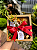 BOX MANHÃ ESPECIAL - Imagem 2