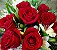 Buquê Doce Encanto - 10 Rosas - Imagem 2