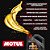Óleo de Motor MOTUL 8100 X-Cess gen2 5W40 Galão 4 Litros BMW MB Porsche VW - Imagem 5