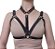 Harness bra Figurino Pablo - Imagem 1