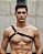 Arreio Harness Masculino Elastico modelo um ombro transversal gladiador - Imagem 1