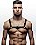 Arreio Harness Peitoral elastico Masculino modelo H - Imagem 1