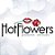 Volumão Sachê 24 Und. -  Original Hot Flowers - Imagem 3