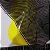 Pelicula Wtp Hidrográfica - Fibra Kevlar preto e transparente - Tam 1m X 50cm - Imagem 10