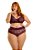 Sutiã Plus Size Sem Bojo Renda com Aro Uva - Imagem 1