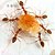 Mata formiga FormiHouse gel 10g Insetimax  Formicida prático - Imagem 2