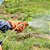 Herbicida Karpir 15ML Tiririca Mata Ervas Daninhas em gramas - Imagem 2