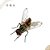 Fita pega moscas - Fly trap Dipil - Fita adesiva - Imagem 2