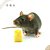 Veneno para ratos - Profissional - MADERAT 1kg Pó - Imagem 2