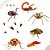 Nexxor 250ml - controle de baratas, aranhas e escorpiões - Imagem 2