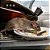 Veneno para ratos - Racumin soft Isca 200g BAYER - Imagem 2