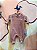 Macacao Manga Longa Hug Infantil Unissex Plush Liso Rose - Imagem 1