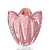 Cachepot em Murano - Rosa Candy - Charming - P - Imagem 1