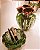 Cachepot de Decoração em Murano - Verde Esmeralda - Charming - Tam PP - Imagem 3