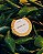 Vela Bamboo Life TRAVEL - Bambu e Menta - Imagem 6