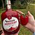 Licor Morango Do Amor - Licor Cremoso de Morango Magnani 720ml - Imagem 2
