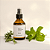 Spray Aromaterapia | Foco e Renovação (120ml) - Imagem 1