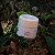 hidratante natural para os pés | cupuaçu, melaleuca e menta (60 g) - Imagem 1