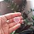 Cristal em forma de Coração para Ativar a Energia do amor (Quartzo Rosa) 20g - Imagem 4