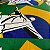 Microfibra Estampada Brasil Cristo Redentor 1,58x1,00m Copa do Mundo - Imagem 1