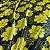 Tecido Cetim Preto flores amarelas 1,40m Decoração de Festas e Fantasias - Imagem 6
