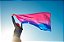 Bandeiral de Cetim Orgulho LGBT Bissexual 1,47x0,91m - Imagem 1
