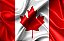 Bandeira Canadá tecido Cetim 1,47x0,91 Copa do Mundo - Imagem 1