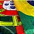 Tecido Bandeira de Cetim Brasil e Portugal 1,47x0,90cm Copa do Mundo - Imagem 1