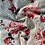 Tecido Lese Bordada Cinza Flores Vermelhas 1,35x1,00m 100% Algodão Laise - Imagem 5