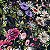 Tecido Lese Bordada Floral Primavera Preto 1,35x1,00m 100% Algodão Laise - Imagem 7