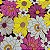 Tecido Viscose Estampada Floral 1,45m Para Roupas Femininas - Imagem 3