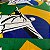 Tecido Estampado Bandeira Brasil Cristo Redentor 1,50x1,00m Copa do Mundo - Imagem 7