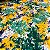 Tecido Malha Estampada Brasil Verde Amarelo 1,80m Para Decorações e Moda Copa do Mundo - Imagem 17