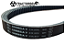 CORREIA V - 2P1388 - Imagem 3