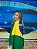 Bandeira do Brasil - Imagem 2
