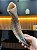 Shofar Direto de Israel | Modelo 1 - 30cm - Imagem 6