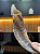 Shofar Direto de Israel | Modelo 1 - 30cm - Imagem 7