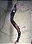 Shofar de Antílope Direto de Israel | Modelo A1 - Imagem 1