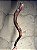 Shofar de Antílope Direto de Israel | Modelo A2 - Imagem 1