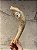 Shofar de Carneiro - Direto de Israel | Modelo B4 - Imagem 2